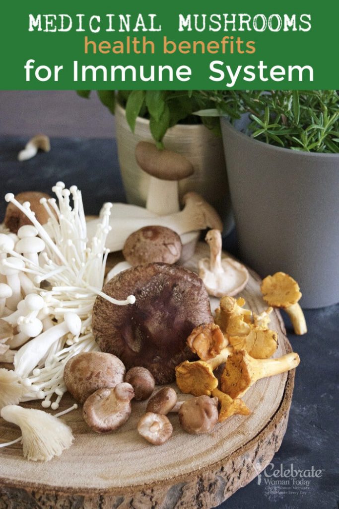 Medicinal mushrooms benefits for immune system