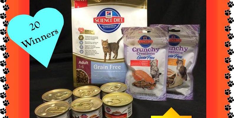 Hill’s Science Diet Cat Food Gourmet Gift Baskets Giveaway
