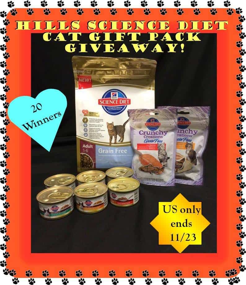 Hill's Science Diet Cat Food Gourmet Gift Baskets-Giveaway