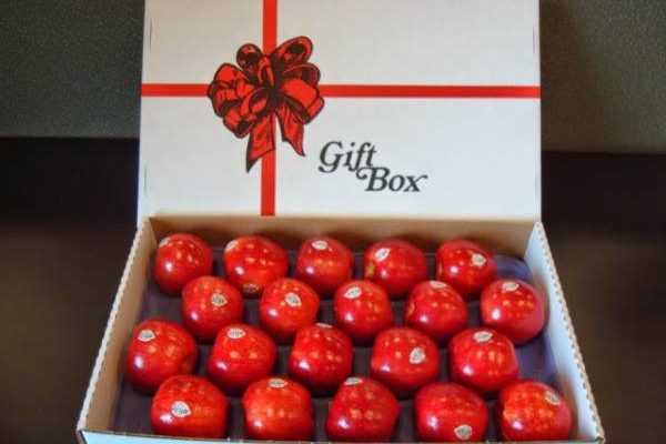 Borton Fruit Apple Gift Box for Spring Celebration