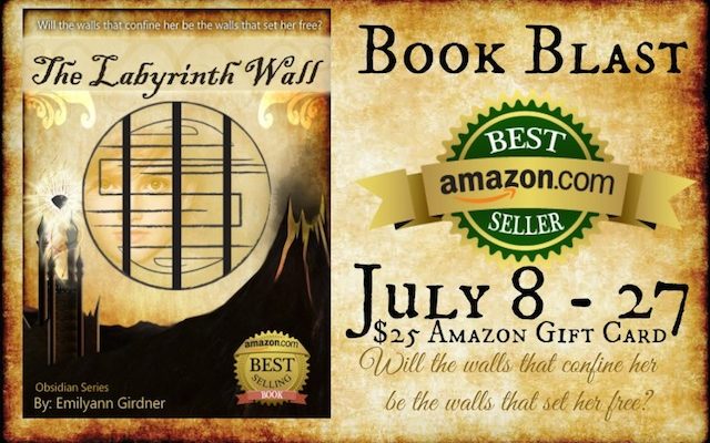 The Labyrinth Wall Book Tour with $25 Amazon Gift Card Giveaway