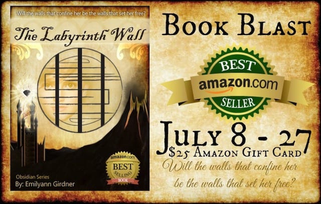labyrinth wall book