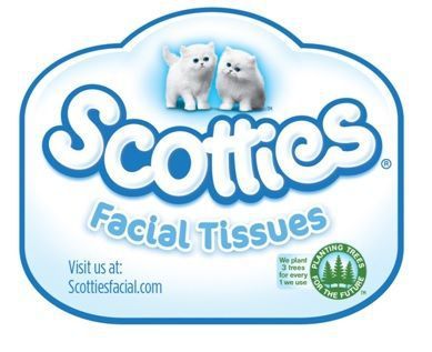 Scotties Facial Tissues Kittens