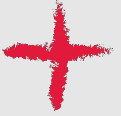 healthy pets vet visits