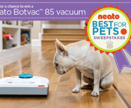 How To Keep Indoor Pet Hair At Minimum