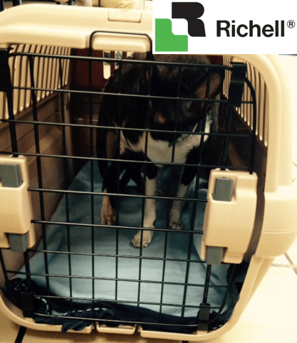 Richell Pet Carrier