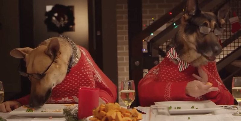 FreshPet Holiday Ad Warms Up Our Hearts And Puts Smiles On Faces