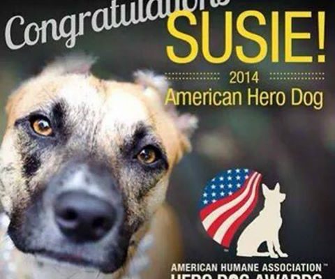 Susie’s Hope Story Captured People’s Hearts