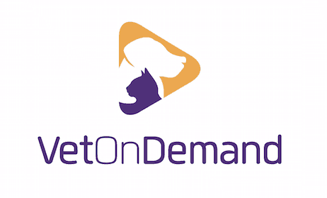 New Pet Vet On Demand App to Keep Your Furry Babes Healthy #VetOnDemand