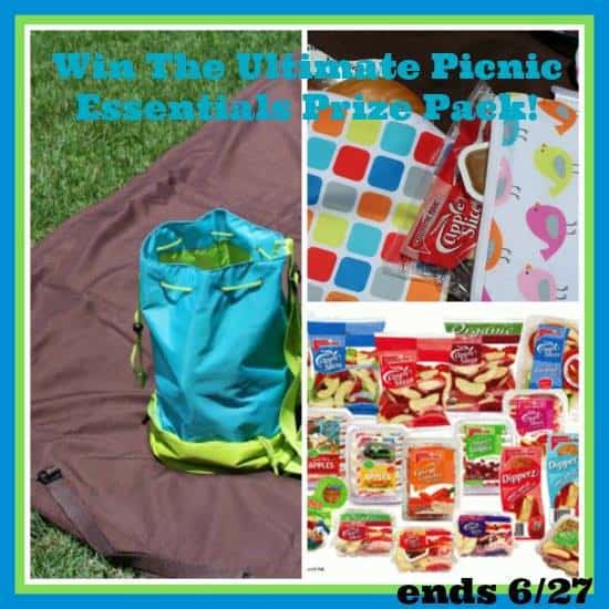 picnic essentials