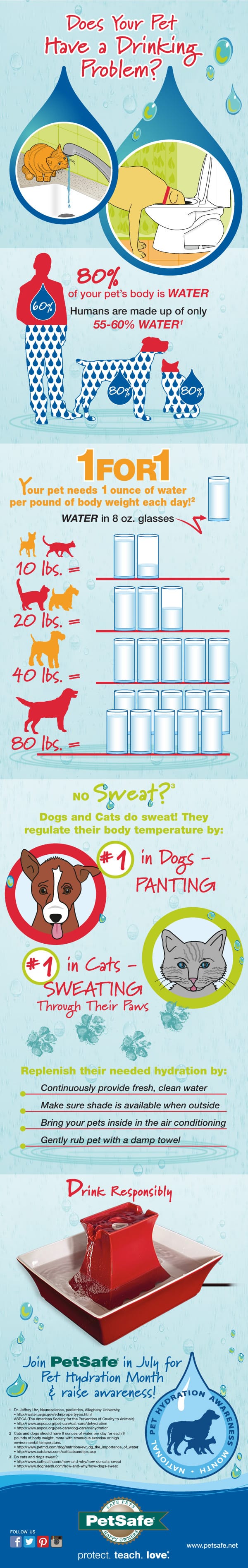 infographic drinkwell pet drinking fountain