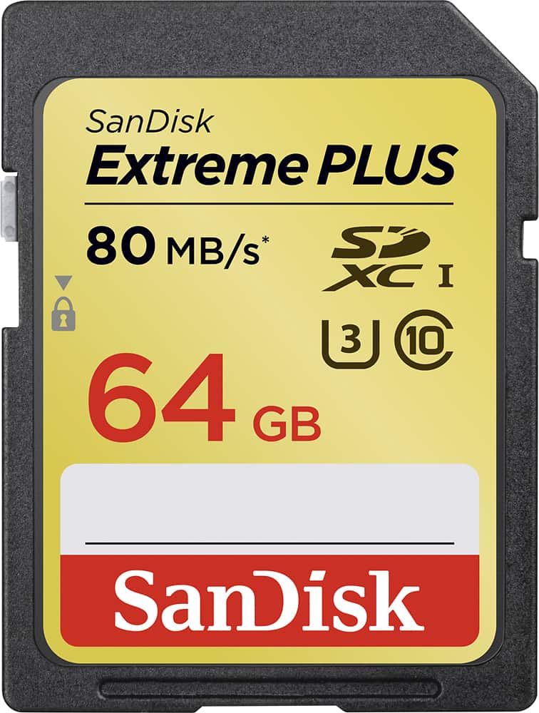 SanDisk best buy extreme plus memory