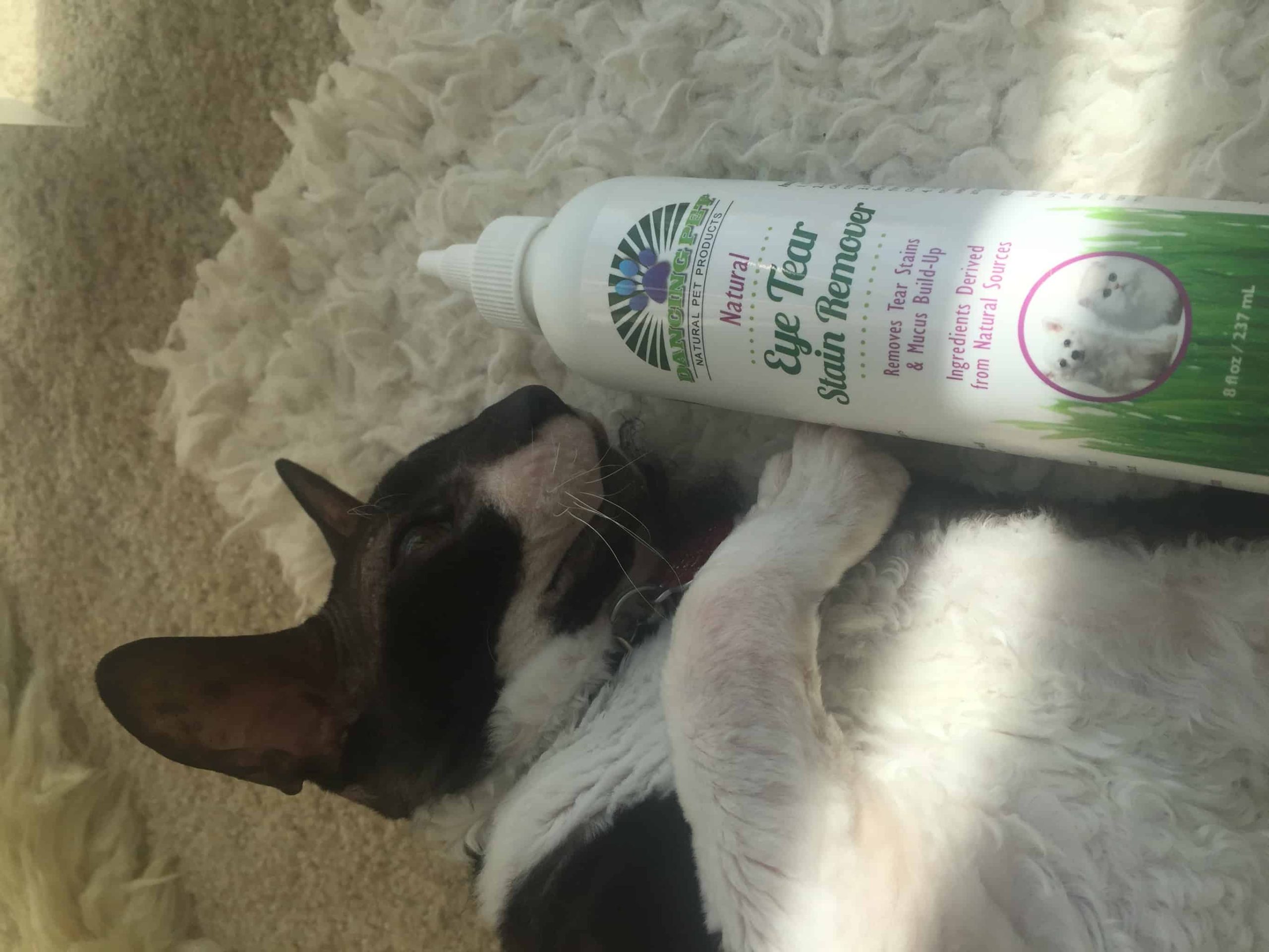 Dancing-Pet-Eye-Tear-Stain-Remover