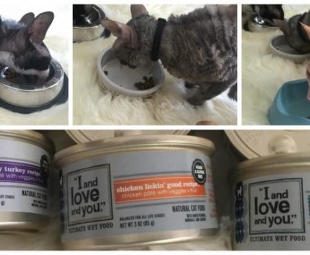 I And LOVE And YOU – When Dogs And Cats Live A Yummy Life