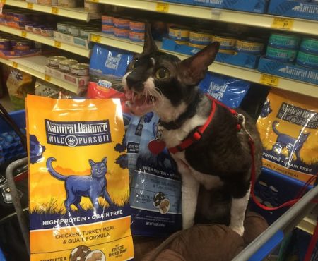 Discover Natural Balance Wild Pursuit Cat Food at PetSmart