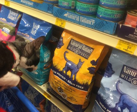 Your Cat Deserves a Fresh Start with Ancestral Diet of #NaturalBalance