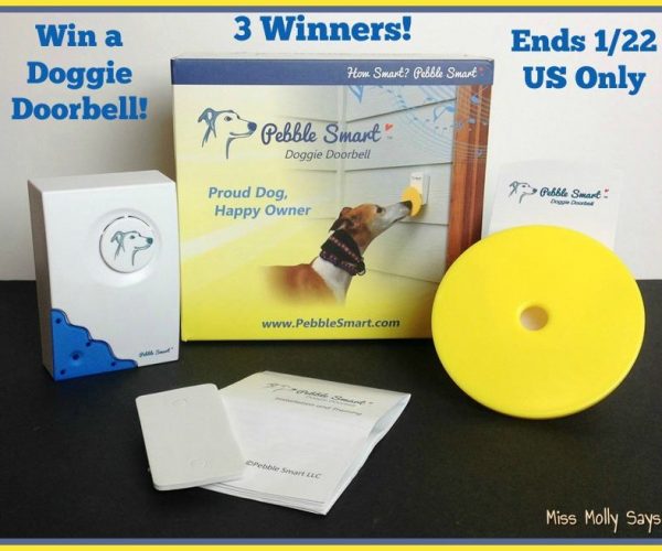 Teach Your Dog A New Trick With A Smart Doggie Doorbell