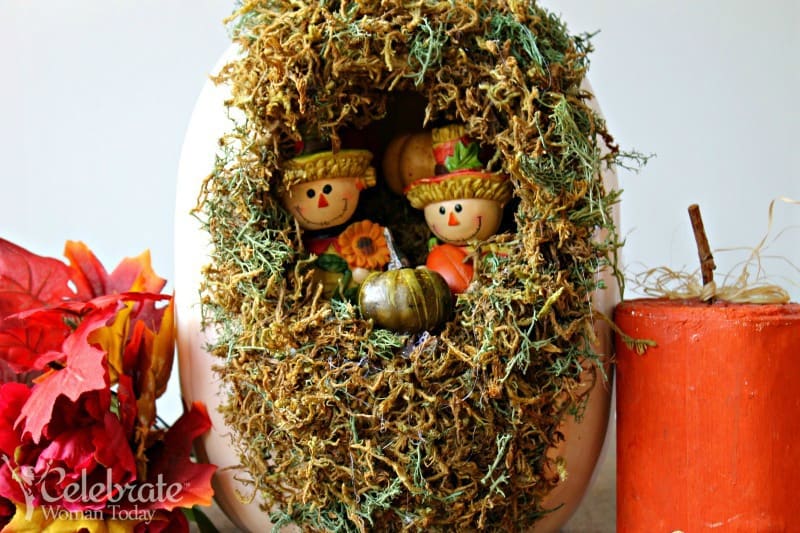 Halloween Pumpkin Garden – Crafting The World You Celebrate In