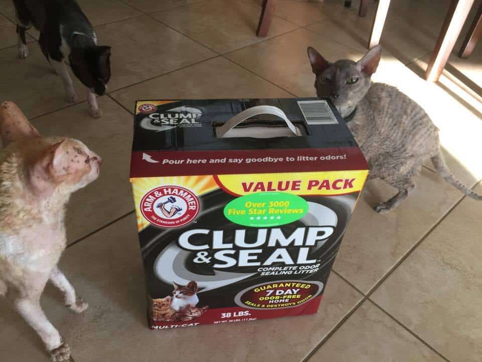 Arm & Hammer Clump & Seal Cat Litter
