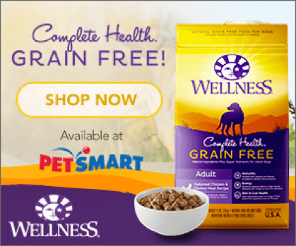 Wellness® Complete Health™ Dog Food and Snacks at PetSmart