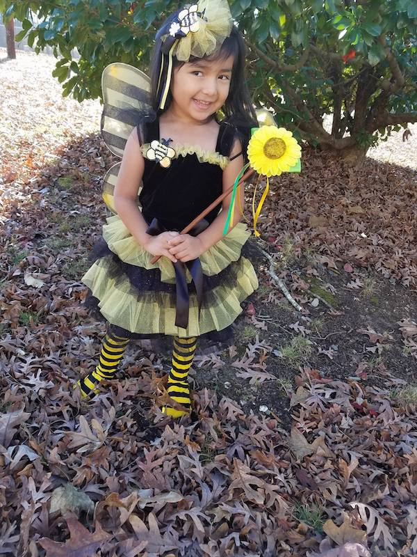Just Pretend Kids Costumes Bumble Bee