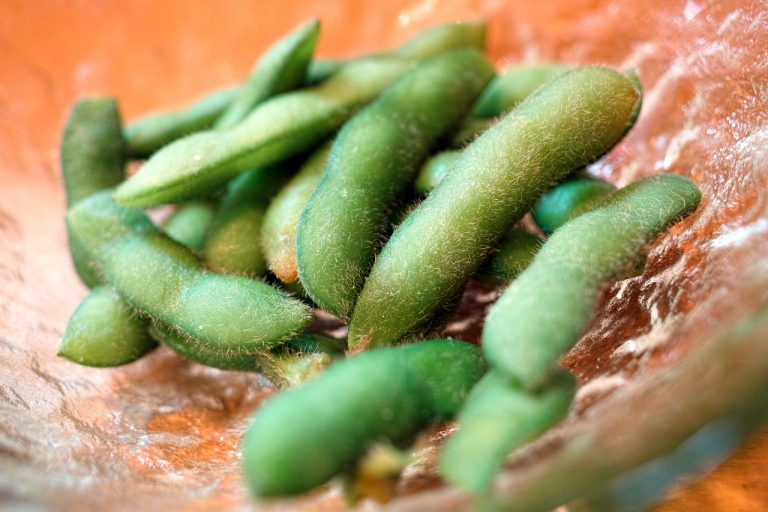 Edamame soybeans salad