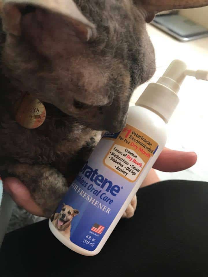 Oratene Brushless Oral Care