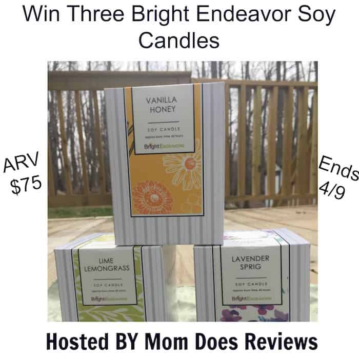 Bright Endeavors Soy Candles
