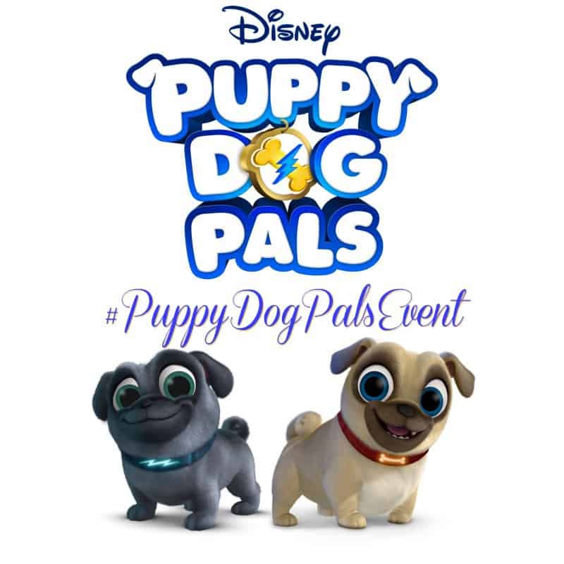 Puppy Dog Pals Disney Junior