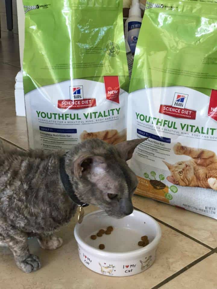 HILLS DIET Youthful Vitality Cat Food