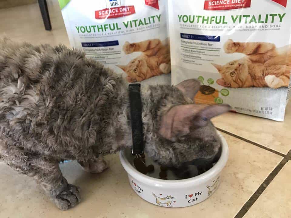 HILLS DIET Youthful Vitality Cat Food