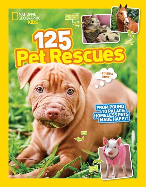 National Geographic 125 Pet Rescues Book, HOW-TO Teach Kids Animal Rights