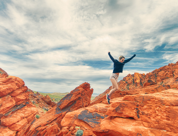 HOW-TO Quit Without Giving Up