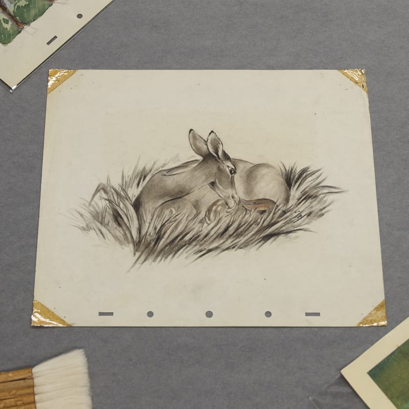 BAMBI 75TH ANNIVERSARY, Animation Techniques