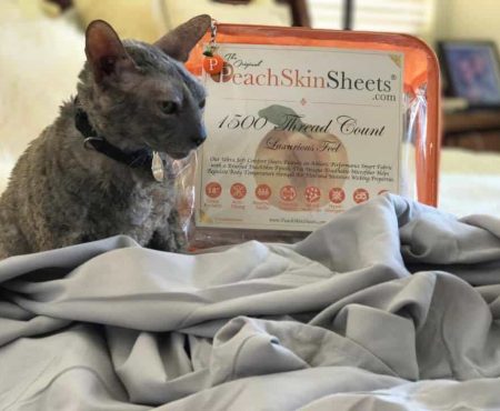 Good Night’s Sleep Can Be Effective and Restful