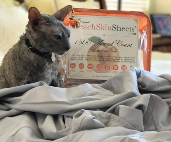 Good Night’s Sleep Can Be Effective and Restful