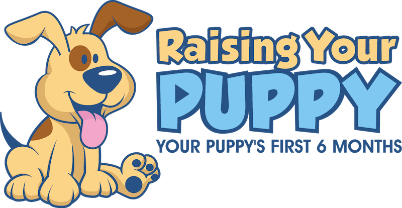 Raising Your Puppy, Robin Bennet puppy training course, dog training