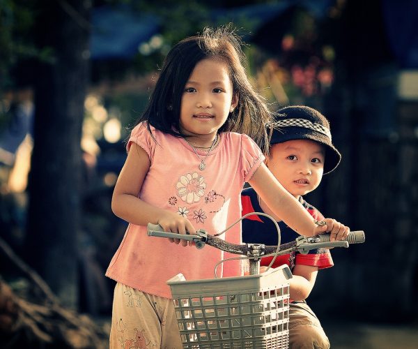 Excerpt from THE DRIVE TO LEARN by Cornelius Grove