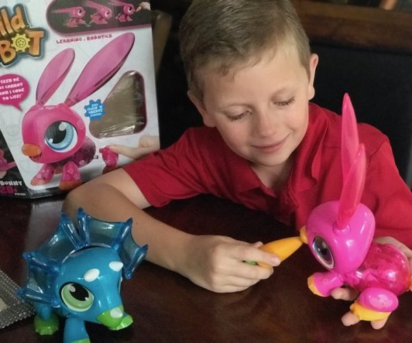 First Steps In STEM Begin With Toys. Colorific Build-a-Bot Proves It