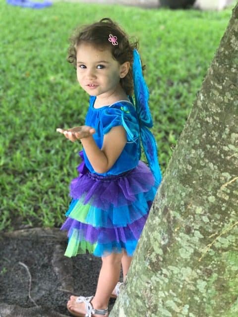 Just Pretend Kids Fairy Costume, Halloween Costumes