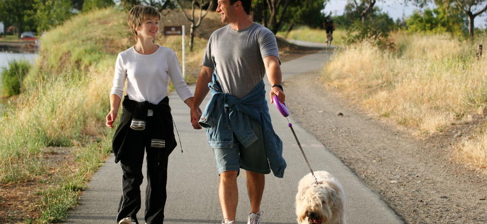 couple walking the dog