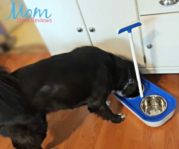 Your Cat Or Dog Would Love This Unique Pet Bowl Feeder