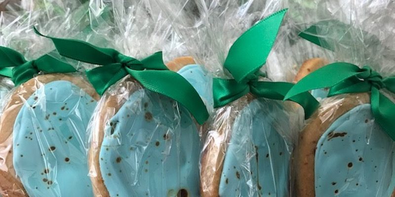 Easter Robin’s Egg Blue Speckled Cookies Recipe