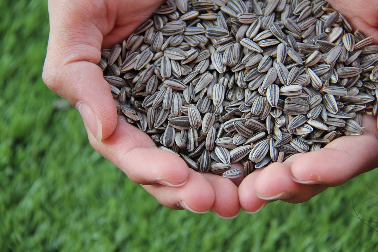Sunflower seeds are rich in copper, a powerful antioxidant trace mineral 