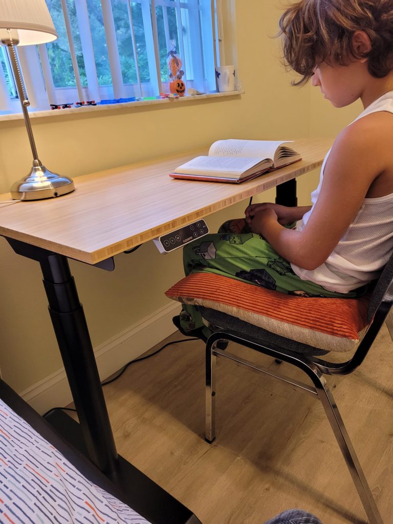 Flexispot electric sit or stand up desk