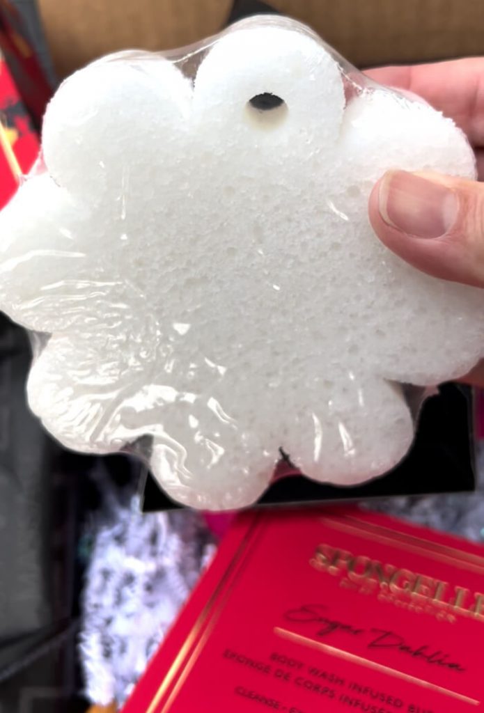 Spongelle body wash sponge