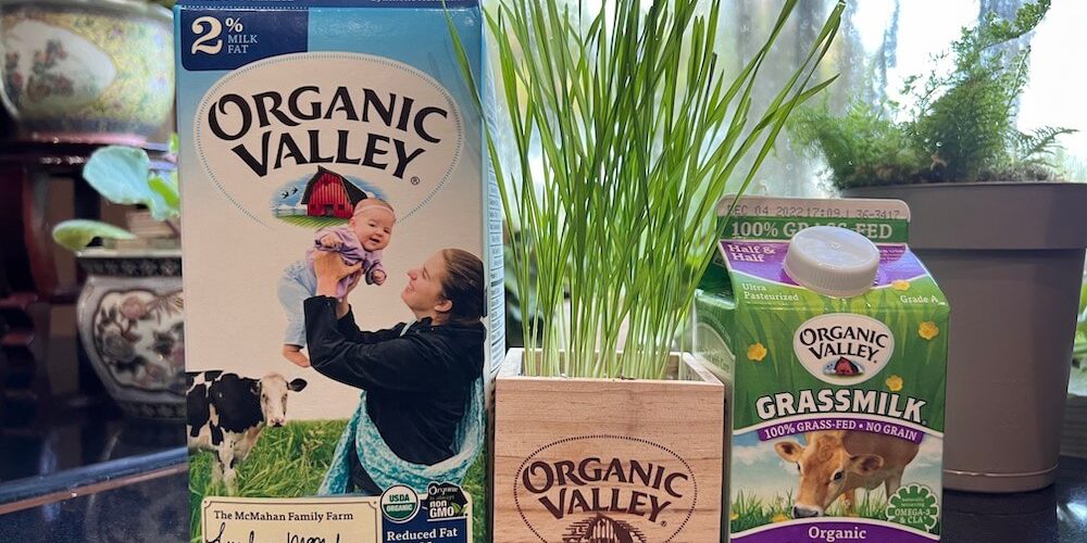Why I Choose Organic Milk Products For My Family’s Vibrant Living