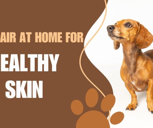 Support Your Skin Health With Robot Vacuum Cleaner Systems