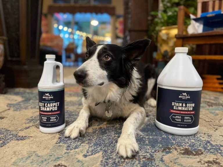 stain and odor eliminator