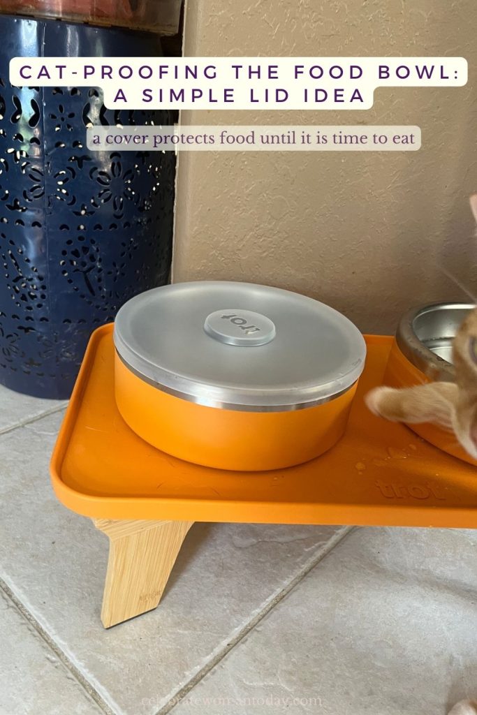 cat stretching its paw towards food bowl, trying to get to the food inside